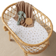 Garden friends organic bassinet sheet / change pad cover