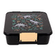 Bento Five lunch box - dinosaur land